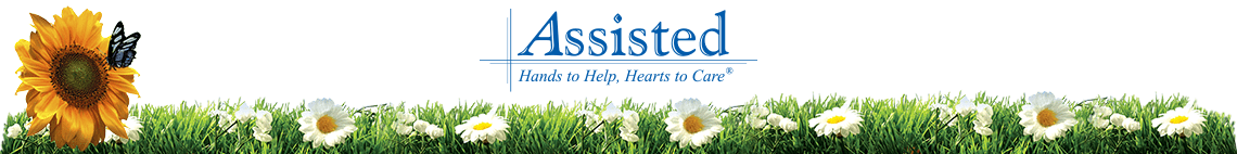 Banner with a sunflower and butterfly on the left, white daisies in grass along the bottom, and the text "Assisted - Hands to Help, Hearts to Care" in blue at the center—perfect as an Elementor Header or Header element.