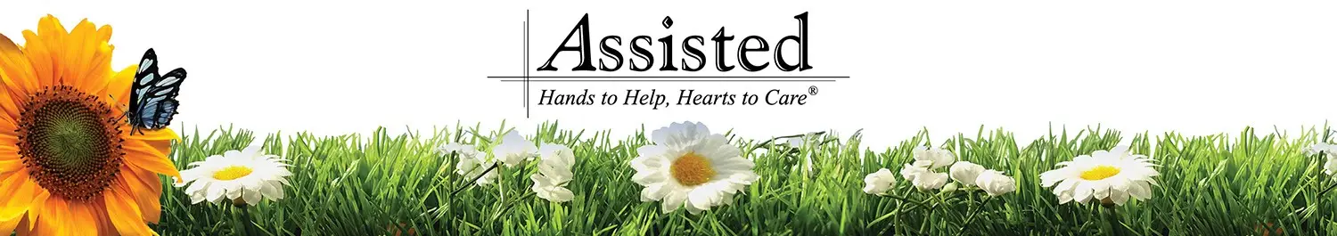 A butterfly sits on a sunflower at the left. White daisies and grass line the bottom. The word "Assisted" and the phrase "Hands to Help, Hearts to Care" appear at the top center, highlighting our LA LVN Recruitment focus.